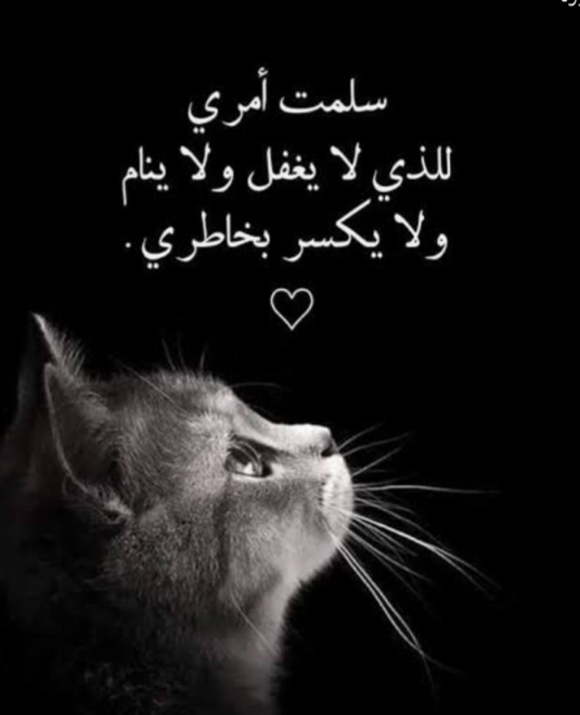  _RVtMv