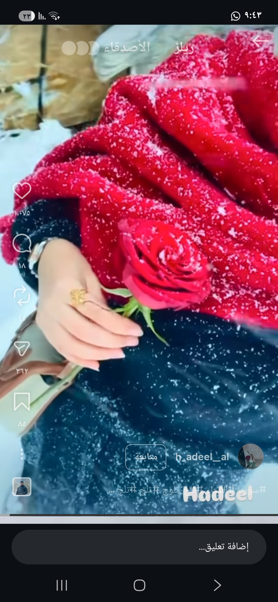 Arfanarfan Arfanarfan_3mRtY