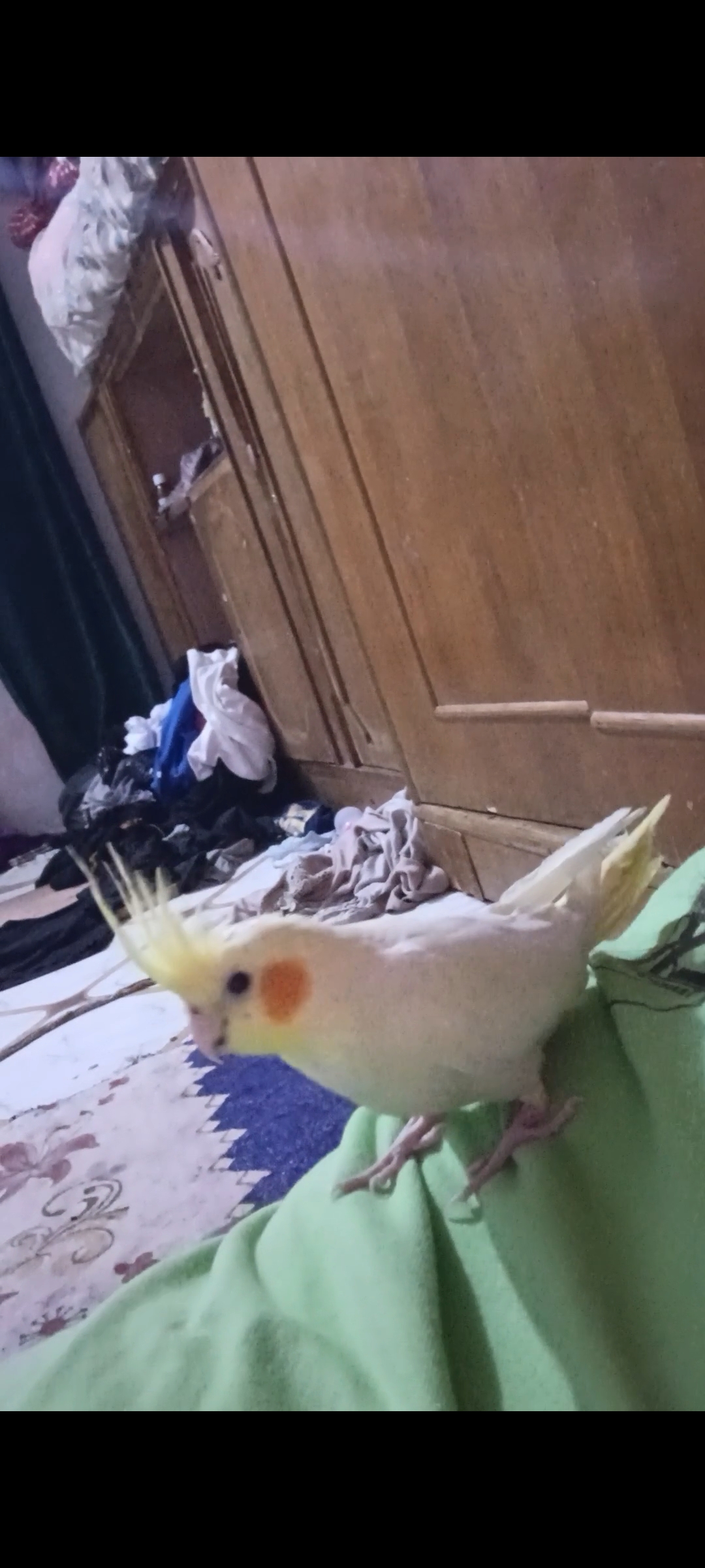 ���� ���_9JVMN
